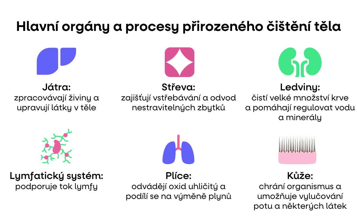 infografika cisteni tela